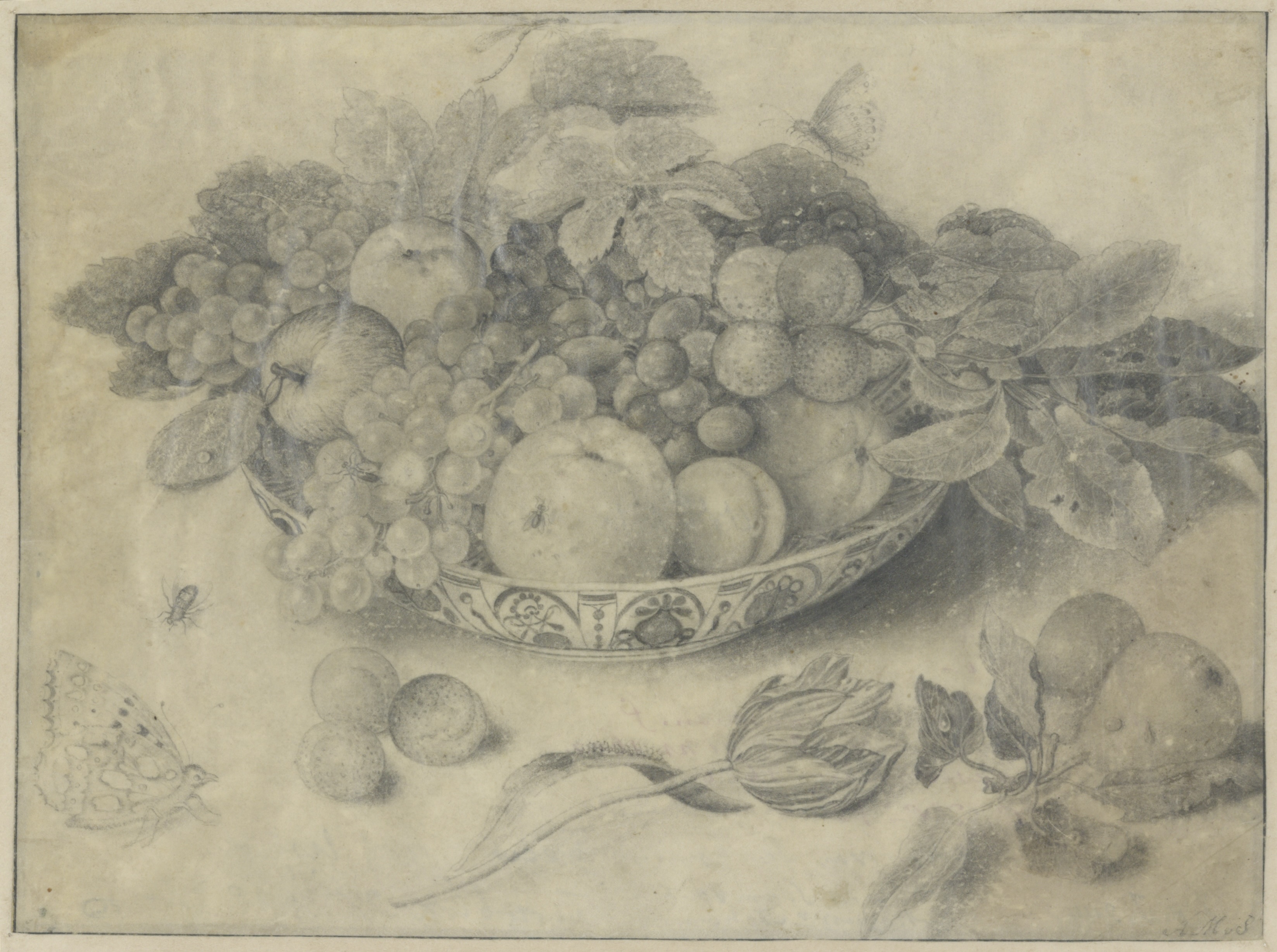 A black chalk drawing of a bowl of fruit, seen from slightly above. Some fruits and flowers are outside the bowl, as though they are resting on an unseen table. There are two butterflies, two beetles, and a dragonfly on or around the fruit. 
